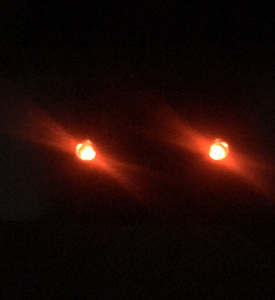 Hogar y Jardín repelente Predator Control Solar Powered luz nocturna plagas animales repelente Predator luces <span class=keywords><strong>mapache</strong></span> zorro - Product Image 4