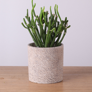 Moules de jardin modernes cylindriques rustiques <span class=keywords><strong>pour</strong></span> pots de plantes en béton, décoration intérieure et extérieure - Product Image 2