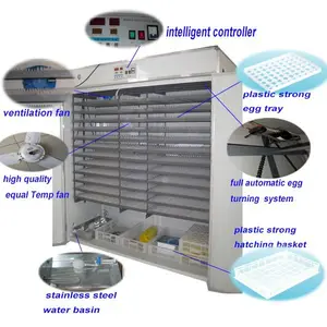 Fully Automatic 5000 Eggs Capacity Chicken Egg Incubator