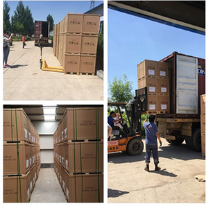 Lista de Precios de Incubadoras de Bioquímica de Laboratorio BIOBASE BJPX-B400II e Incubadoras de Humedad 80L 150L 200L 250L 300L 400L - Product Image 6