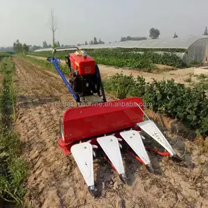 2018 Vietnam trigo cosechadora/arroz máquina de corte/arroz máquina segador