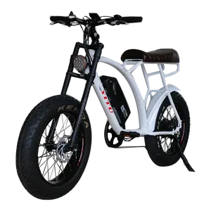 Bafang डीपीसी 18 रंग फ्लैश एलसीडी डिस्प्ले 13Ah 48v 500w 750w 1000w मोटर वसा टायर 2 सीटर 60 मील प्रति घंटे इलेक्ट्रिक बाइक
