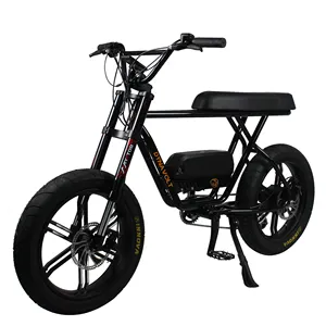 沙滩自行车胖轮胎Ebike 750W Bafang Motot成人电动循环