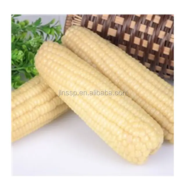 Sweet White Corn Canned Food Brine Preservation Process Read to Eat at an Price