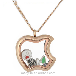 Mecylife Cá Nhân Hình Bầu Dục Hình Không Gỉ Mề Đay Thép Không Gỉ Và Quyến Rũ Vòng Cổ - Product Image 3