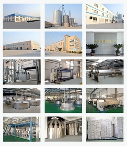 Best Selling Alta Qualidade Eritritol Granular Em Pó ISO Certified Food Additive - Product Image 2
