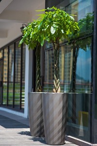 <span class=keywords><strong>Macetas</strong></span> Grandes de Plástico Esmaltado para Decoración de Jardín, Adornos Modernos para el Hogar, <span class=keywords><strong>Macetas</strong></span> Pintadas - Product Image 6