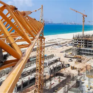 2017 Hoàn Hảo Được Sử Dụng Tháp Crane for Sale in Dubai, Zoomlion Cẩu Tháp Giá