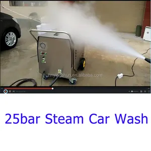 Nettoyeur à vapeur lavage de voiture 20bar lavage à vapeur de voiture
