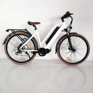 Versatile dapu motore elettrico della bici con diverse caratteristiche -  Alibaba.com