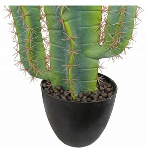 Artículo para el hogar de moda, 73cm, arte de <span class=keywords><strong>Cactus</strong></span> artesanal, pieza Ornamental de <span class=keywords><strong>Cactus</strong></span> raro - Product Image 4