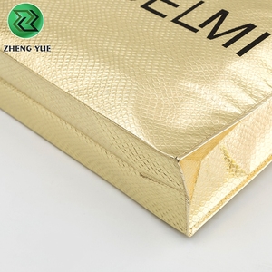 Bolsa de mano dorada no tejida con logotipo impreso, barata, respetuosa con el medio ambiente, Pp - Product Image 4