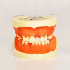 연약한 실리콘껌 연습 절단 봉합을 가진 치과 학생을 위한 임플란트 연습 치과 모형 typodont