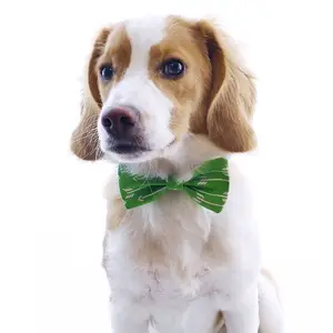 उच्च गुणवत्ता फैशन हरी कुत्ता धनुष टाई