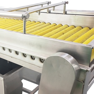 Li Gong de frutas y verduras de maquinaria de procesamiento de máquinas de frutas y verduras de la línea de producción - Product Image 3