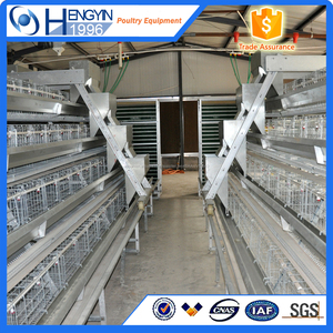Quanlity excelente Pollo Jaula/A Tipo ponedora de huevos de aves de corral de Cría Jaula para La Venta - Product Image 4