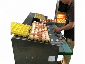 Printer perata telur otomatis, mesin penyortir dan berat telur untuk pabrik tepung dan penggunaan roti - Product Image 5