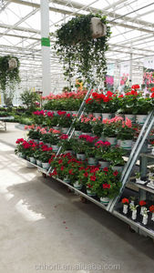 Chariot à fleurs galvanisées 8 pouces, conteneur cc, robuste - Product Image 4