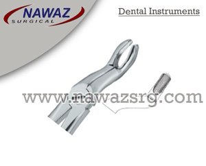 Pince à extraction dentaire Fig57 Produits avec logo personnalisé de qualité supérieure Instruments dentaires en acier inoxydable de haute qualité - Product Image 2