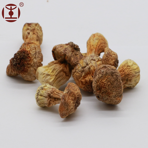 Extracto de Hongo Brasileño (Polisacárido); Hongo ABM/<span class=keywords><strong>Agaricus</strong></span> Blazei con Certificación HACCP/GMP/ISO9001/QS - Product Image 2