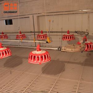 L'élevage <span class=keywords><strong>de</strong></span> poulets Femelle Éleveur Chaîne-Disque Pan Système D'alimentation pour Poulets <span class=keywords><strong>De</strong></span> Chair Éleveur Poules - Product Image 2