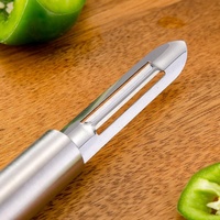 Huishoudelijke handmatige roestvrijstalen fruit- en groenteschiller Multifunctioneel keukengadget Gemakkelijk schoon te maken Vaatwasmachinebestendig