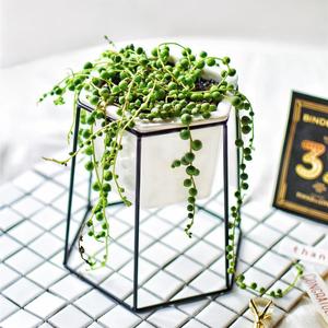 Supporto Esagonale Nero OEM 551-17 in Metallo <span class=keywords><strong>per</strong></span> <span class=keywords><strong>Piante</strong></span> <span class=keywords><strong>Grasse</strong></span>/Mini Cactus/<span class=keywords><strong>Piante</strong></span> Aeree - Product Image 2