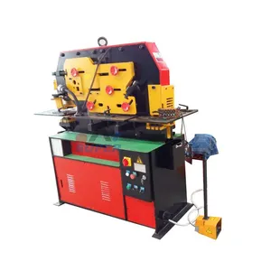 Q35y-15 50Ton Small Hydraulic Ironworker With Punch Tooling