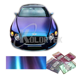 Haute Performance Populaire Bonne Caméléon Pigment De <span class=keywords><strong>Peinture</strong></span> En Poudre - Product Image 2