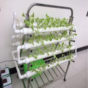 skyplant Small Home Complete Vertical Indoor Hydroponic Growing Systems