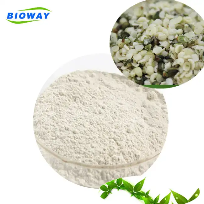 Food Grade Puro di alta qualità Naturale puro Organico Canapa proteine in polvere