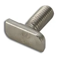 Stainless Steel T BOLT