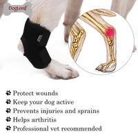 Accessoires pour animaux de compagnie : Orthèse de soutien articulaire solide pour chiens, pour la récupération des blessures, protection efficace des pattes, chaussures et chaussettes pour animaux.