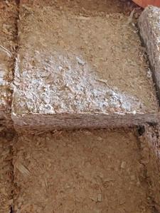 Rasoir en bois massif pour literie d'animaux/10mm-30mm - Product Image 2