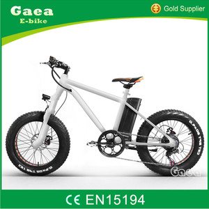 36 v 250 w electric MOUNTAIN bicycle adult quad electrics - Product Image 2