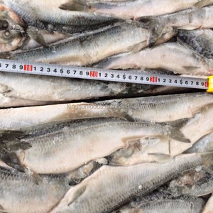 CheapスモークFrozen Herring魚販売のための良質 - Product Image 2