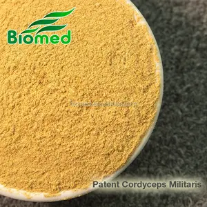 Cordyceps cordycepin Militaris extract Powder