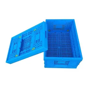 Zisa factory-cajas plegables de plástico para verduras y frutas