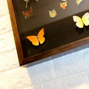 Di alta qualità 10*10 3D profondo nero del velluto di trasporto posteriore Farfalla Tassidermia di Legno scatola di ombra photo Frame - Product Image 5