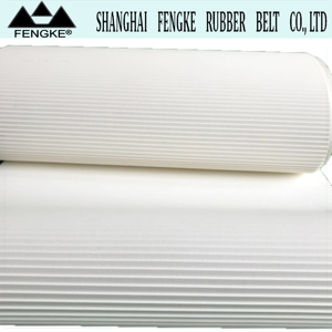 Bề Mặt Nhám Washboard Mẫu Trắng PVC Băng Tải Cho Máy Niêm Phong - Product Image 3