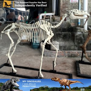 Esqueleto de Dinosaurio de Fibra de Vidrio My <span class=keywords><strong>Dino</strong></span> D09, Placa Fósil de Archaeopteryx - Product Image 5