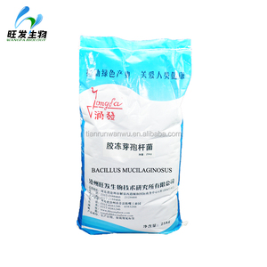 Polvere di Bacillus Mucilaginosus, Fertilizzante <span class=keywords><strong>Biologico</strong></span> con 10 Miliardi di CFU per Grammo per Fertilizzazione Microorganica - Product Image 6