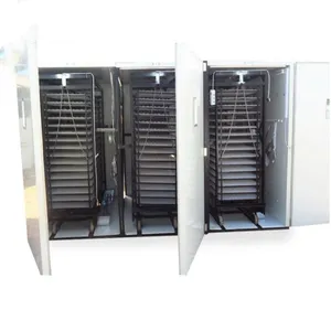 New Style Used Chicken Egg Incubator For Sale