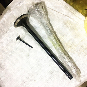 Marine Motor Gas Generator Spare Parts for <strong>MWM</strong> <strong>TCG</strong> 2020 3016 <strong>2016</strong> 2032 K1 V12 V12 1.0 V16 V20 Insert Seat Guide Engine Valve