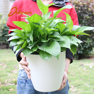 Pots de fleurs en plastique en gros moderne style train en plastique auto arrosage extérieur vert plantes avec pas cher prix - Product Image 3