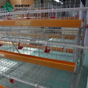 Cage de volaille de bonne qualité pour poules pondeuses, Cage de Type A, à vendre au Kenya