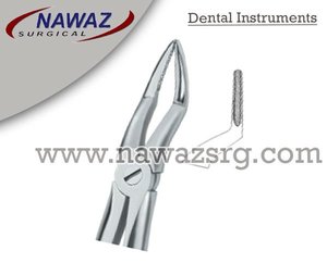 Forceps d'extraction de dents Fig.51 A Diam Instruments dentaires en acier inoxydable de haute qualité avec logo personnalisé de haute qualité - Product Image 2