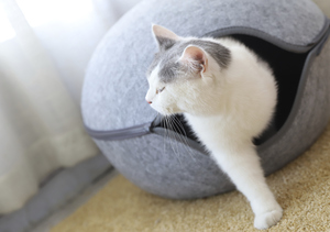 Herstellung umwelt freundliche Katzen höhle Eierform Filz Haustier Bett - Product Image 6