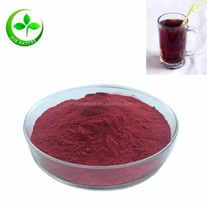 Factory Price Aronia Berry Fruit Powder Wholesale Bulk For Sale