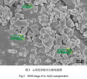세라믹스를 위한 높은 순수성 99.9% 알파 반토 Nanoparticles <span class=keywords><strong>Nano</strong></span> 알루미늄 산화물 분말 Al2O3 Nanopowder - Product Image 4